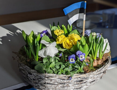 Hamburgis jätkuvad eestlaste igakuised kokkusaamised ka uuel aastal